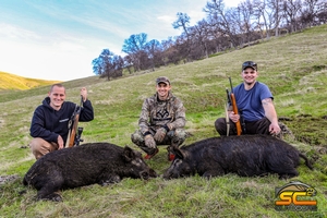 Washington Boys Double up on Wild Pigs in California with SC2 Outdoors